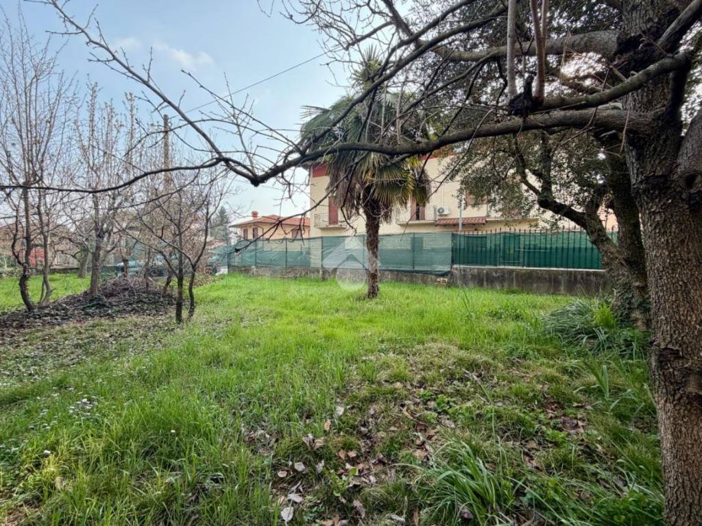 immagine annuncio 3 di 15