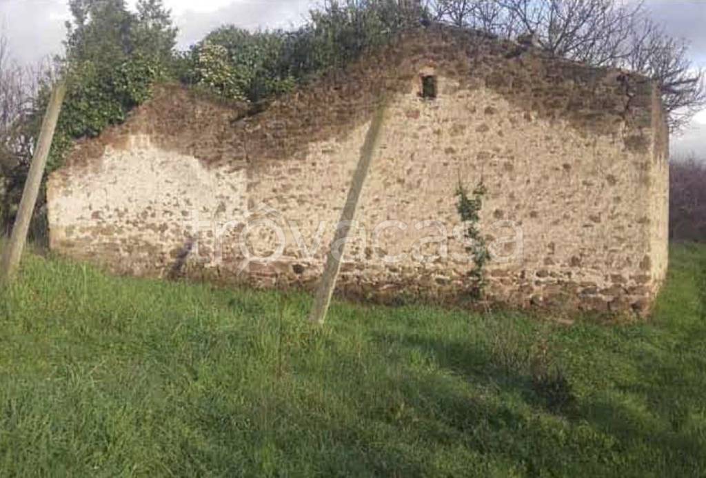 immagine annuncio 6 di 14