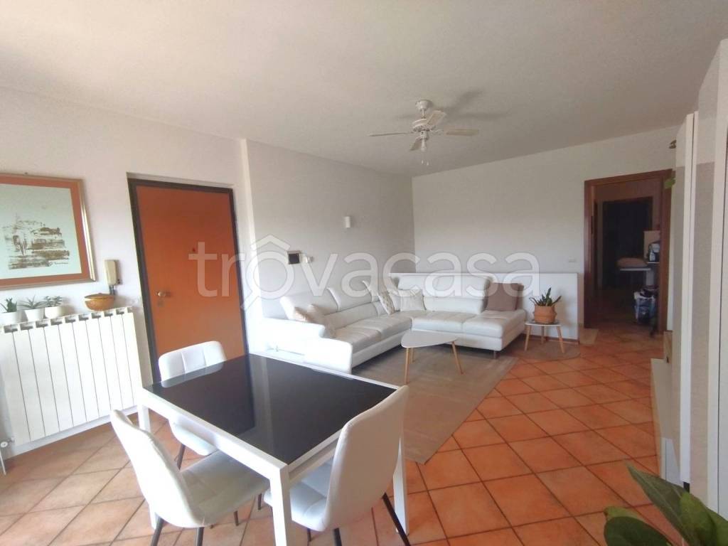 immagine annuncio 4 di 14