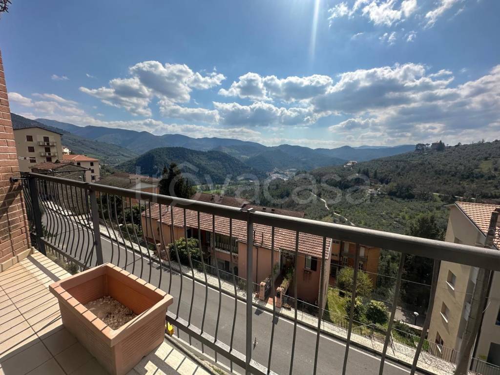 immagine annuncio 7 di 14