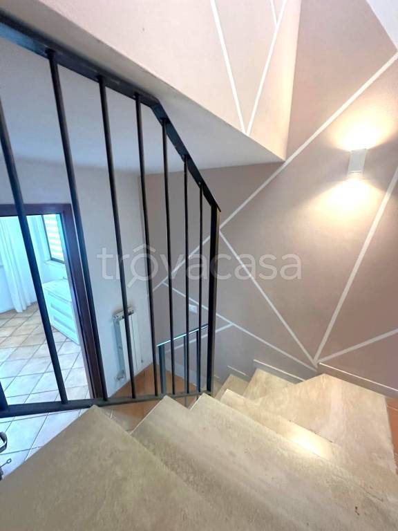 immagine annuncio 9 di 14