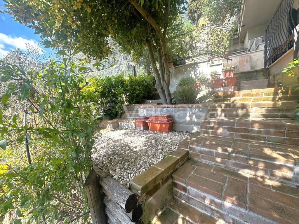 immagine annuncio 10 di 14