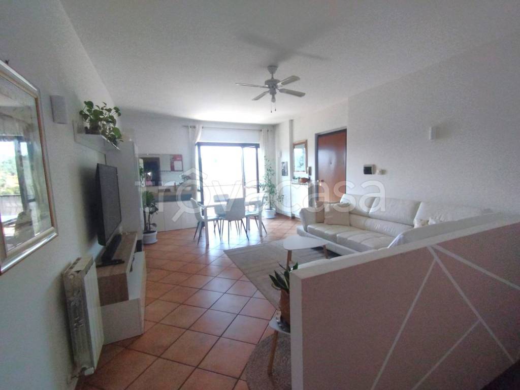 immagine annuncio 2 di 14