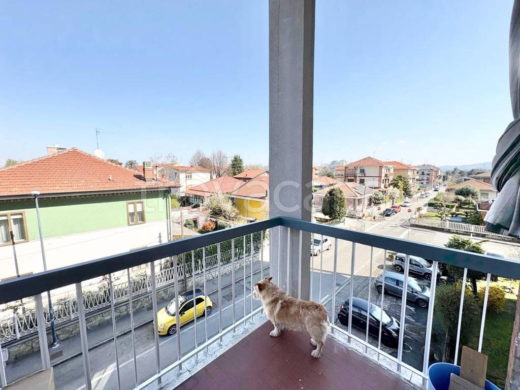 immagine annuncio 9 di 12