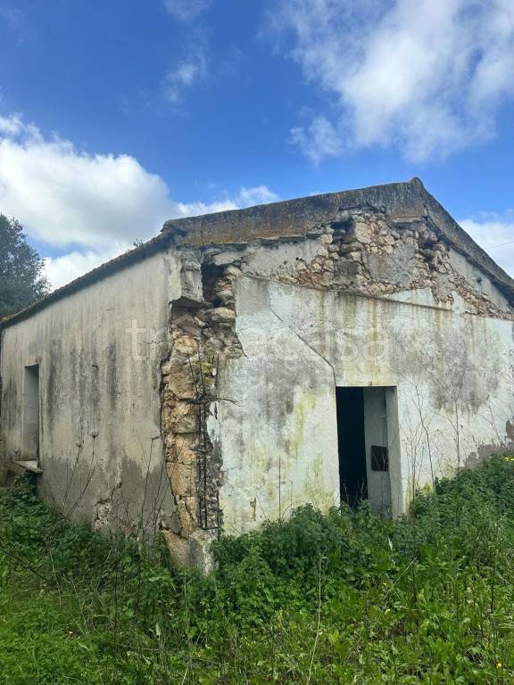 immagine annuncio 7 di 13