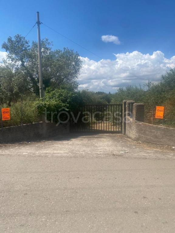 immagine annuncio 12 di 13