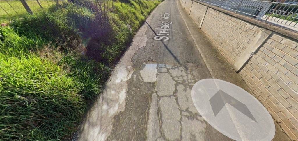 immagine annuncio 2 di 12