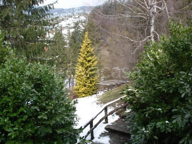 immagine annuncio 3 di 6