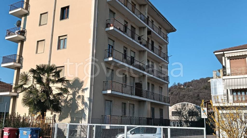 immagine annuncio 4 di 8