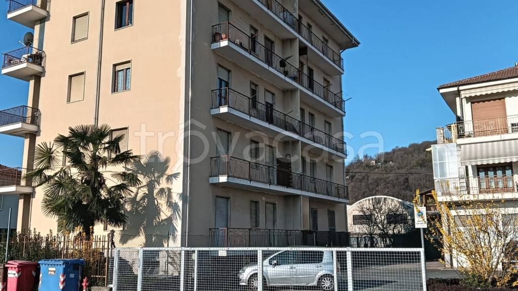 immagine annuncio 7 di 8