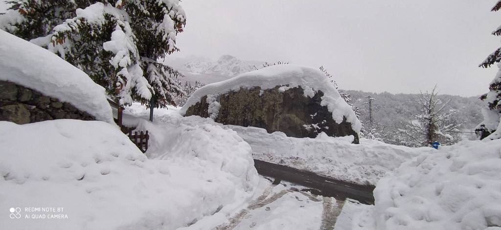 immagine annuncio 5 di 6