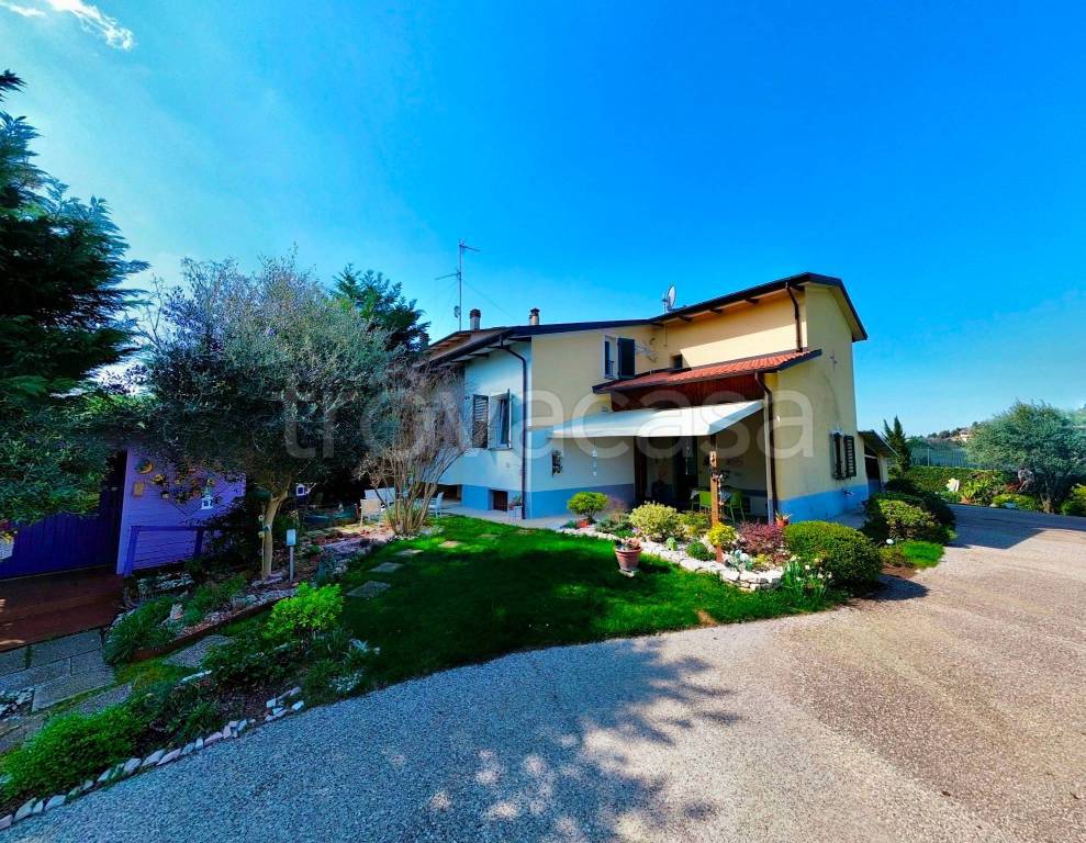 immagine annuncio 7 di 15