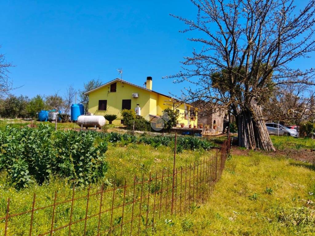 immagine annuncio 1 di 14