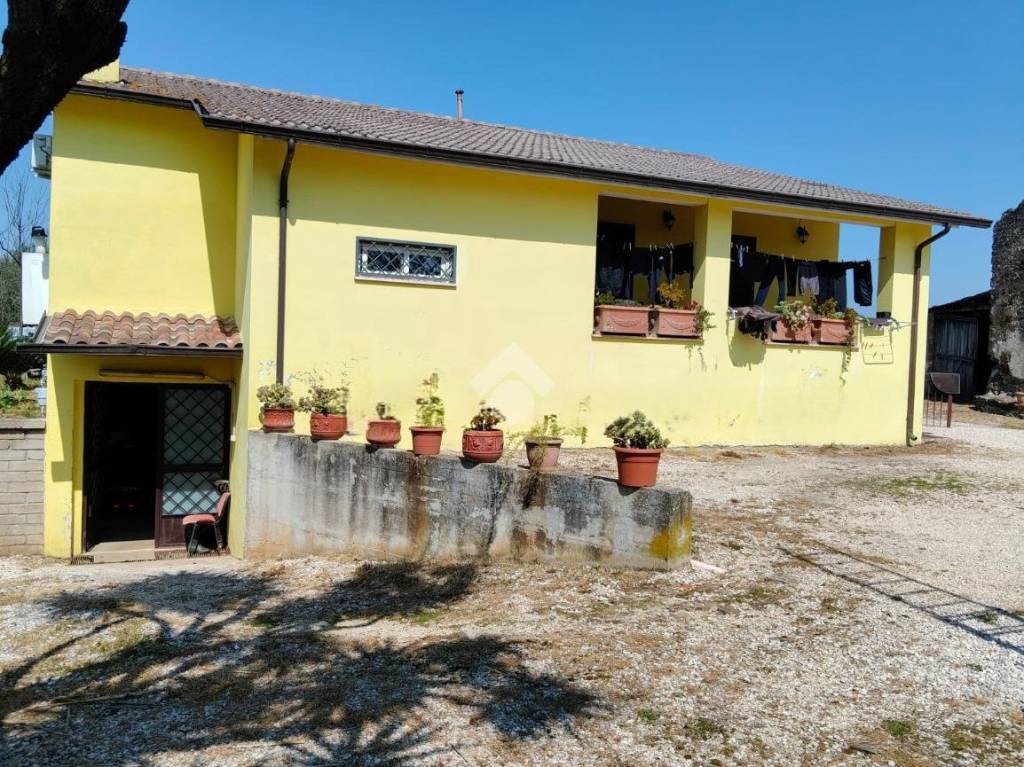 immagine annuncio 4 di 14