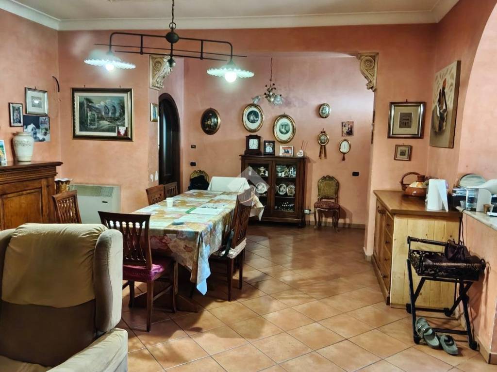 immagine annuncio 5 di 14