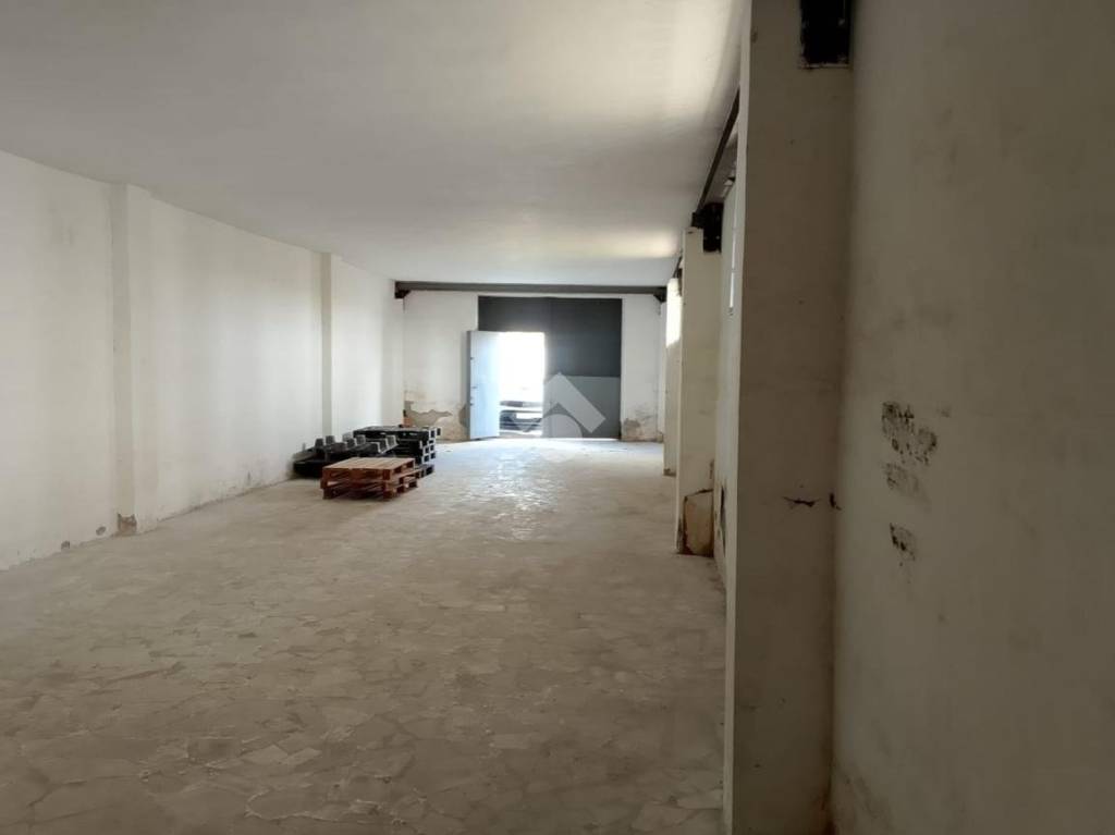 immagine annuncio 7 di 13