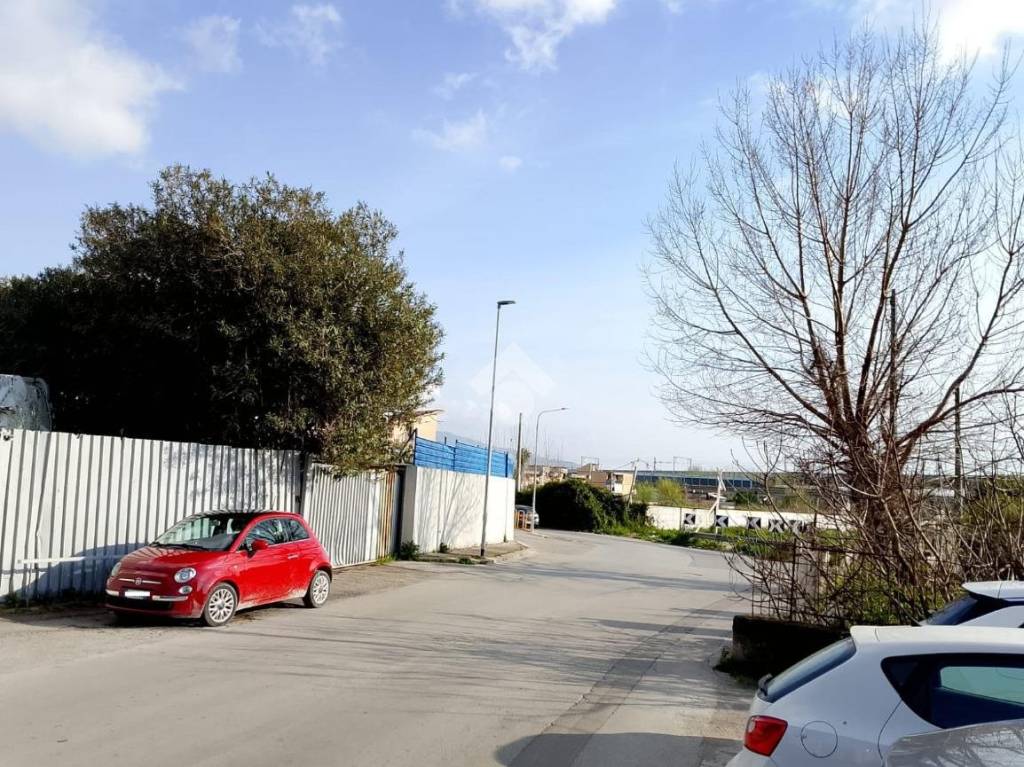 immagine annuncio 11 di 13