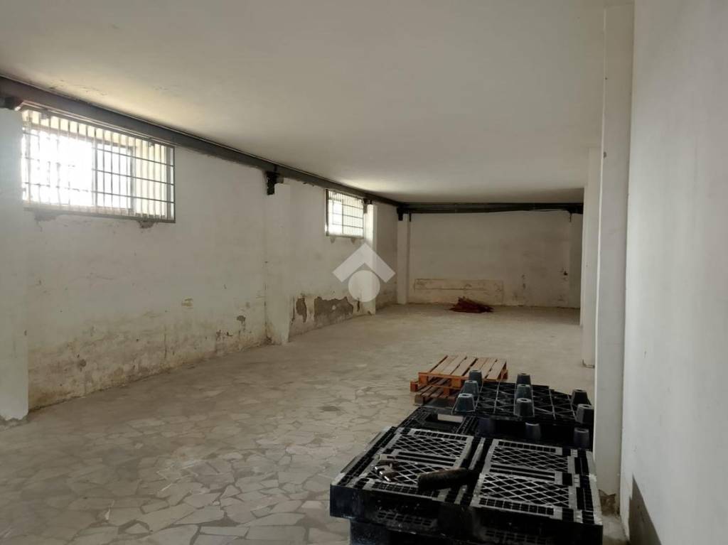 immagine annuncio 3 di 13