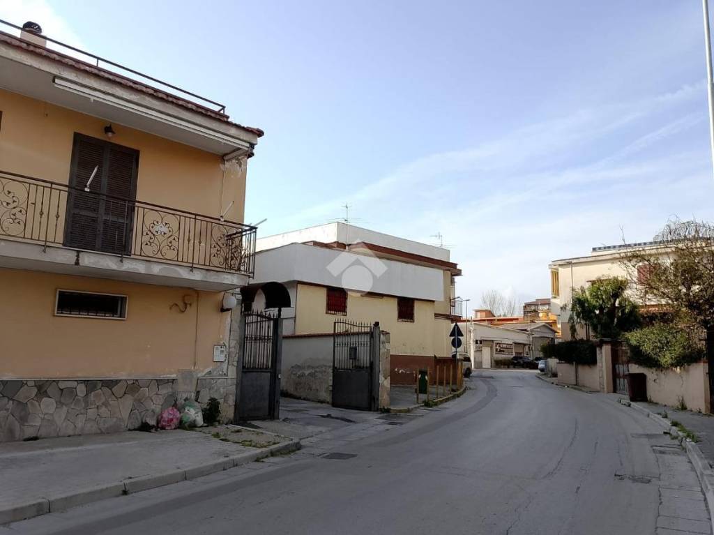 immagine annuncio 9 di 13