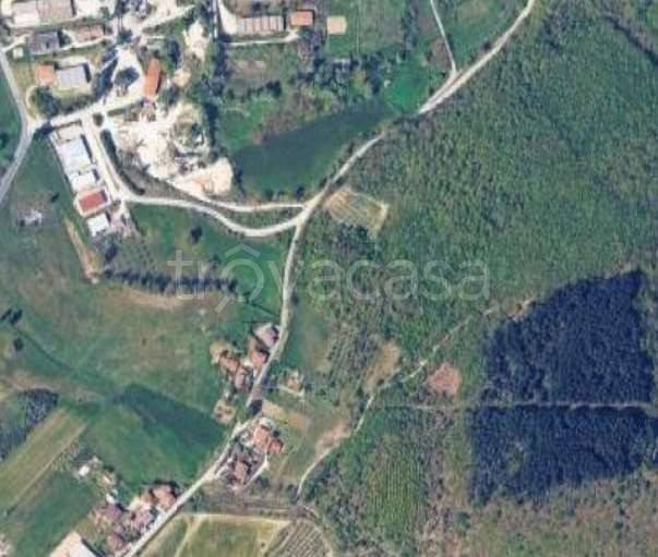 immagine annuncio 9 di 12