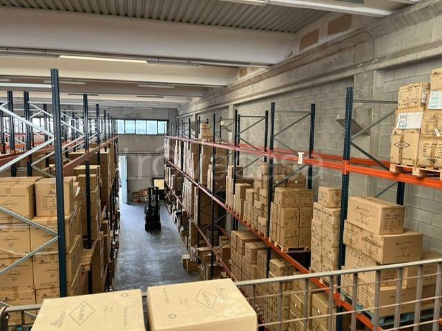 immagine annuncio 12 di 14