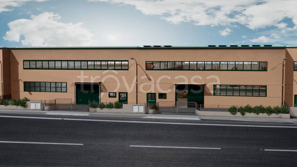 immagine annuncio 5 di 14