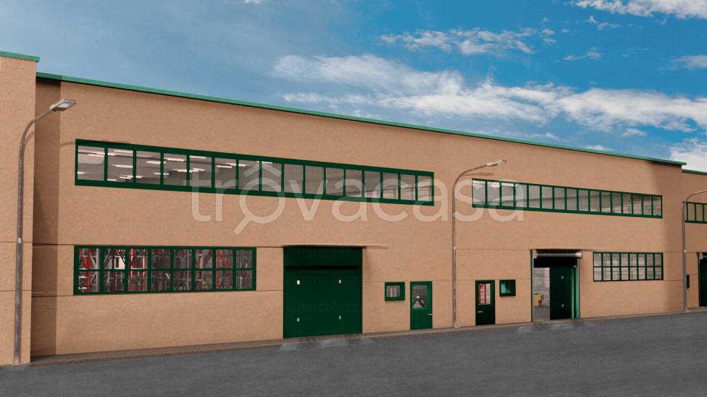 immagine annuncio 6 di 14