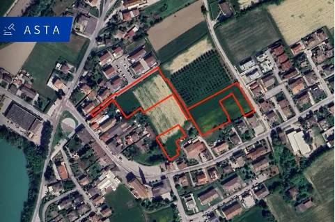 immagine annuncio 9 di 13