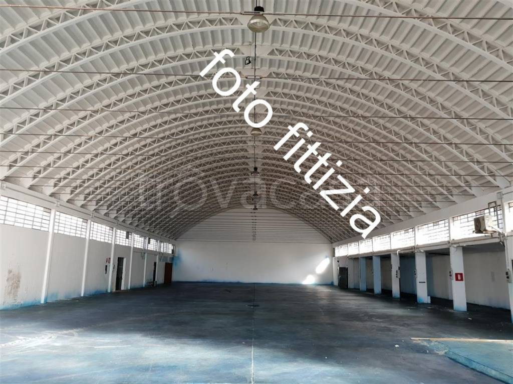 immagine annuncio 5 di 7