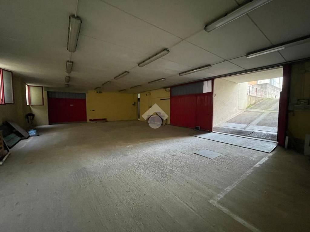 immagine annuncio 12 di 14