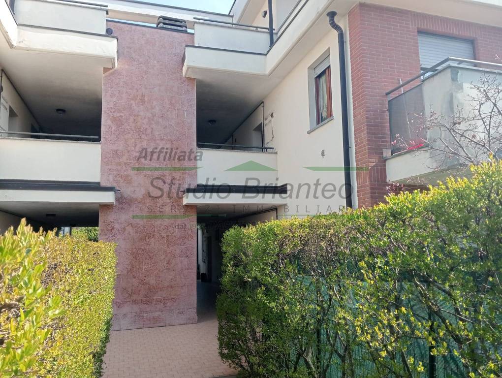 immagine annuncio 1 di 14