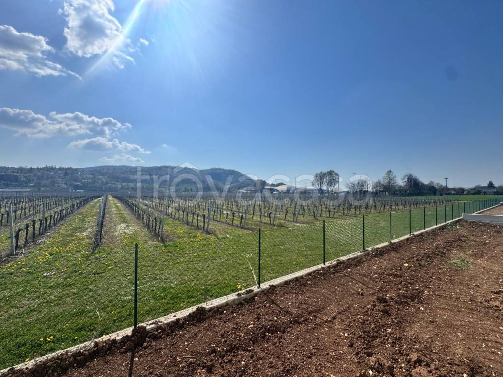 immagine annuncio 6 di 11