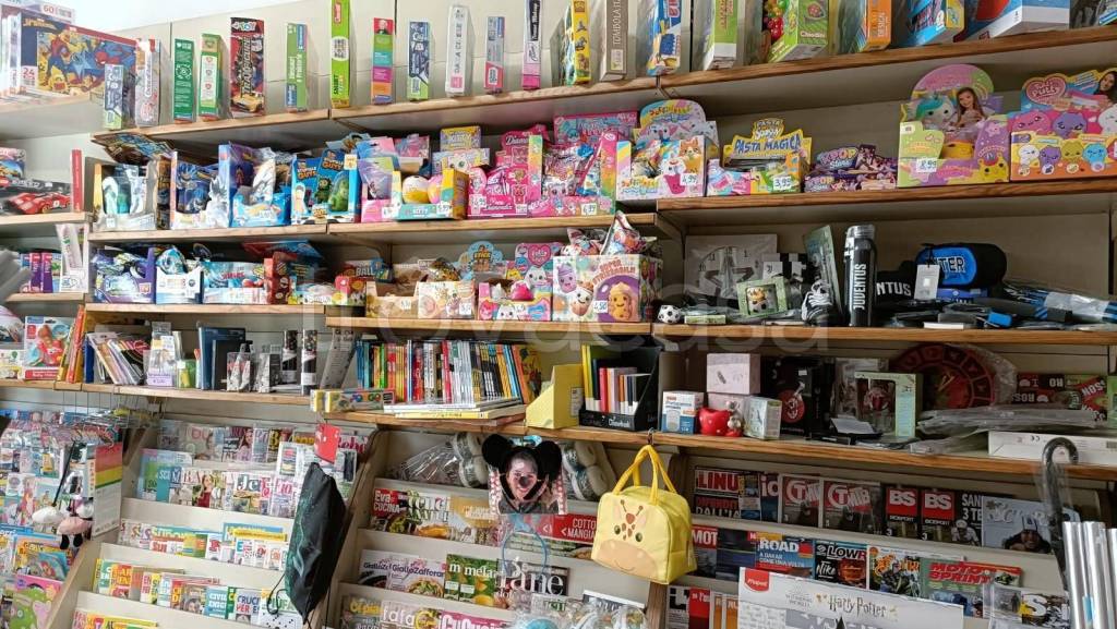 immagine annuncio 4 di 8