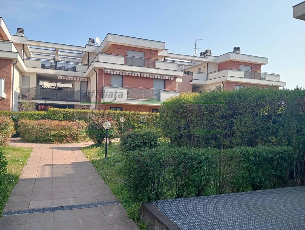 immagine annuncio 3 di 14