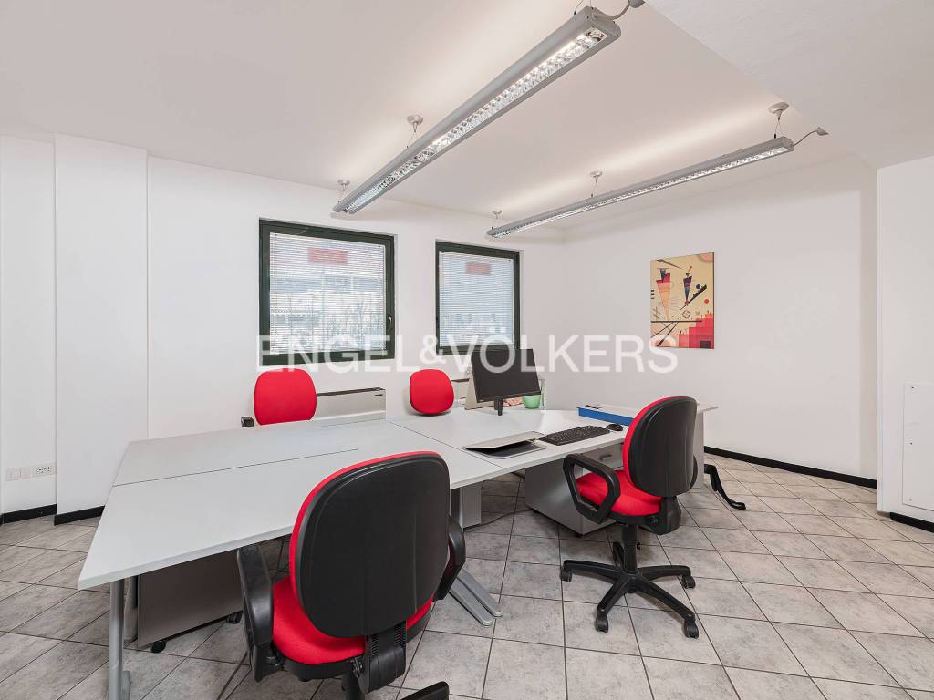 immagine annuncio 1 di 13