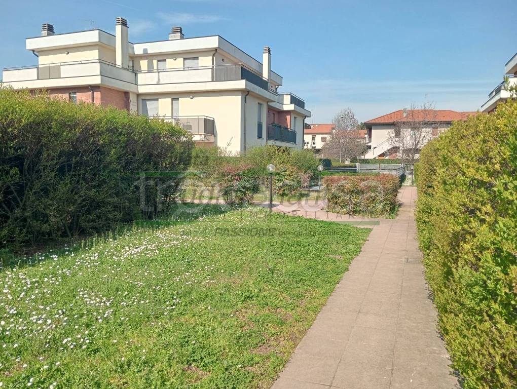 immagine annuncio 5 di 14