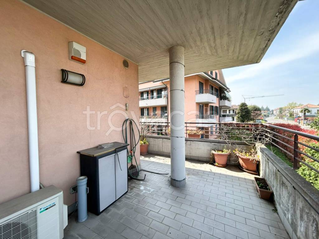 immagine annuncio 11 di 15