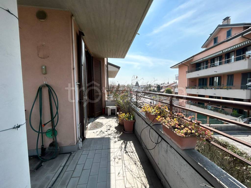 immagine annuncio 12 di 15