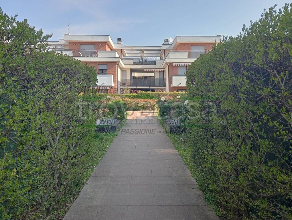 immagine annuncio 6 di 14