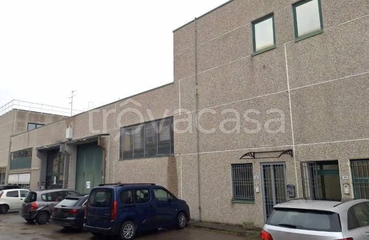 immagine annuncio 8 di 15