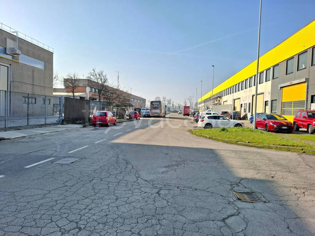 immagine annuncio 3 di 15