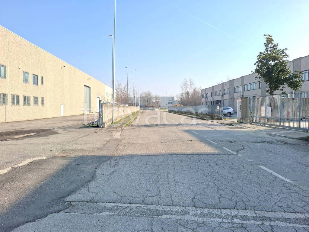 immagine annuncio 4 di 15