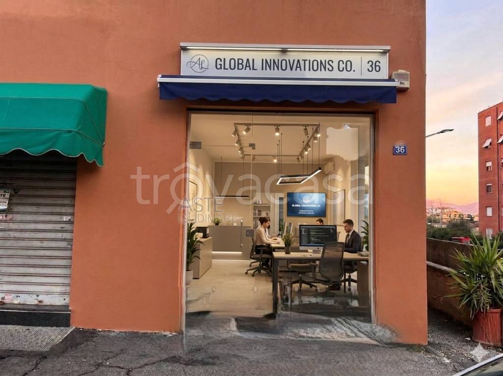 immagine annuncio 2 di 13