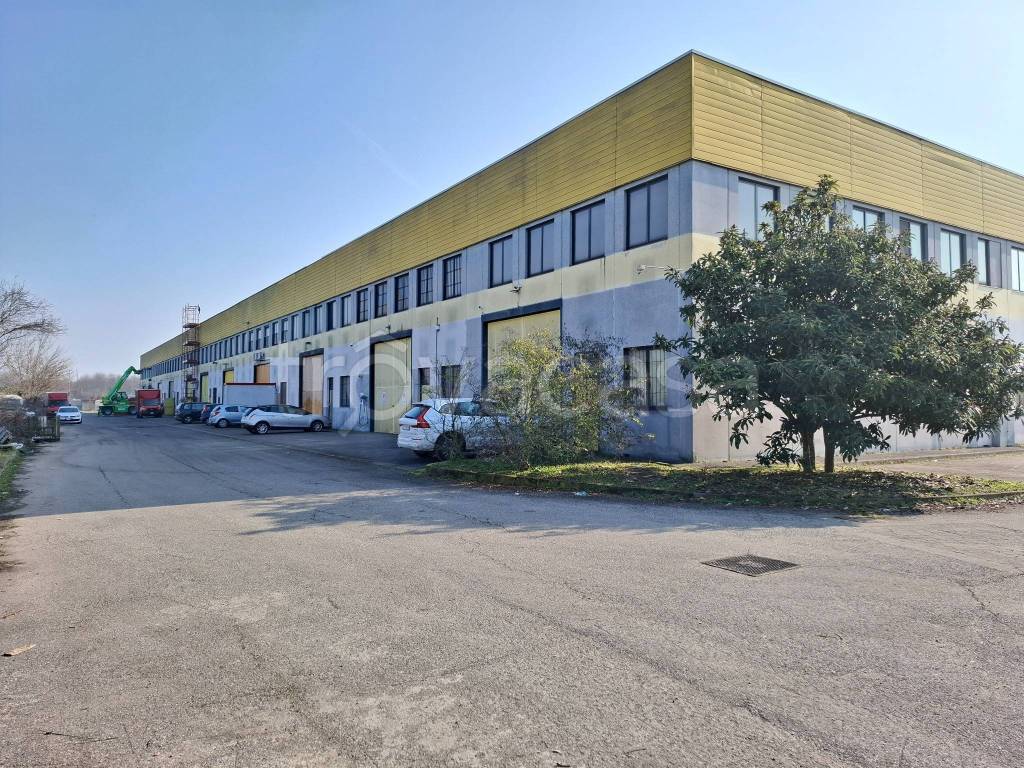 immagine annuncio 2 di 15