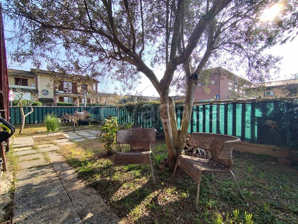 immagine annuncio 1 di 15