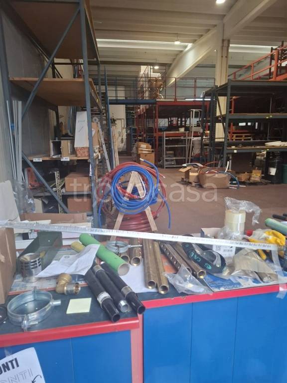 immagine annuncio 3 di 6