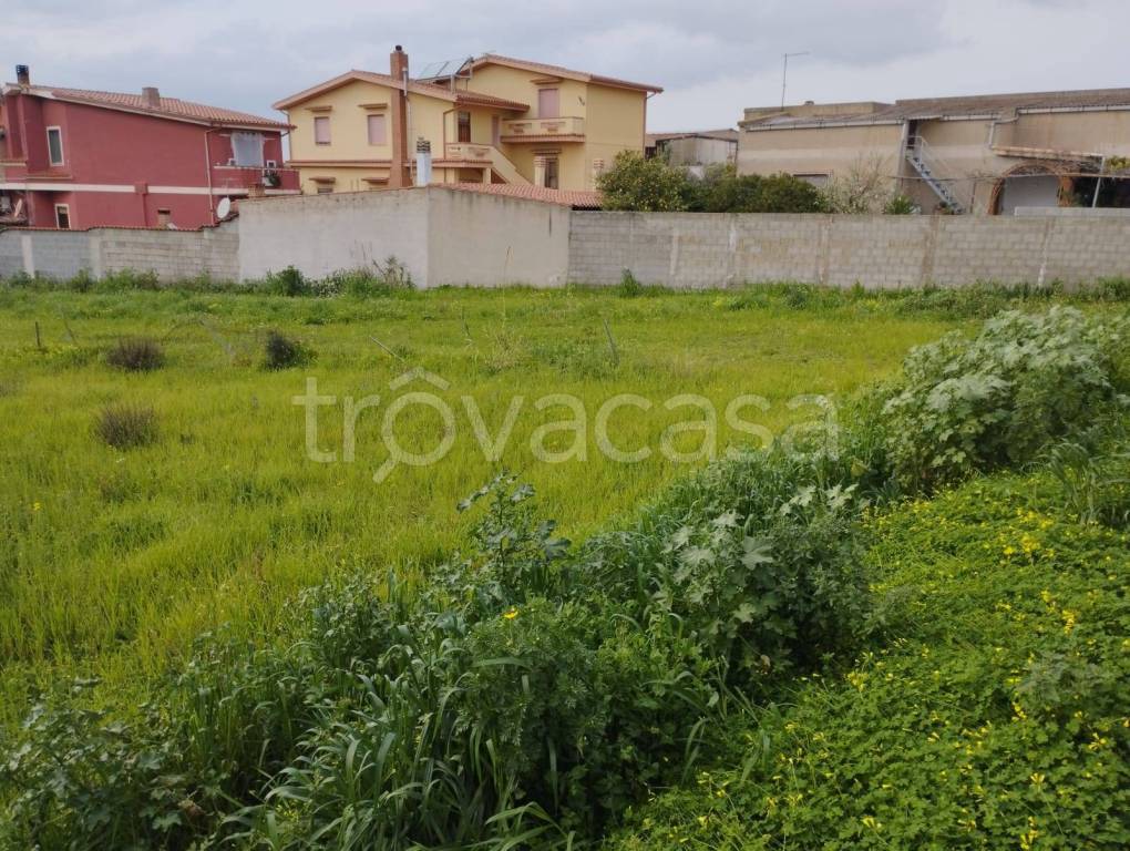 immagine annuncio 2 di 7