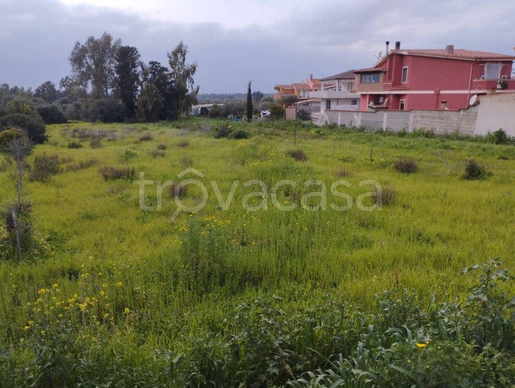 immagine annuncio 3 di 7