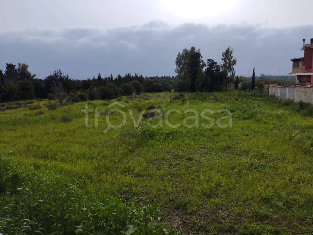 immagine annuncio 4 di 7