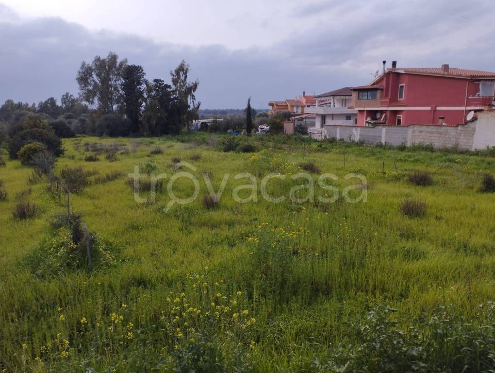 immagine annuncio 5 di 7